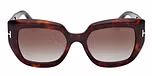 DARK HAVANA / DARK HAVANA / GRADIENT SMOKE / BIO ACETATE
