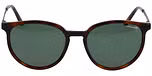 BROWN MEDIUM MATT / Polarized
