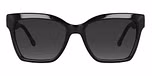 Black / Polarised Lens
