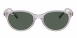 Transparent Grey / Grey / Dark Green