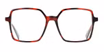 RED TORTOISE