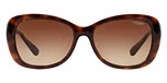 DARK HAVANA/brown gradient