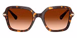 Havana / Tortoise / Gradient Brown