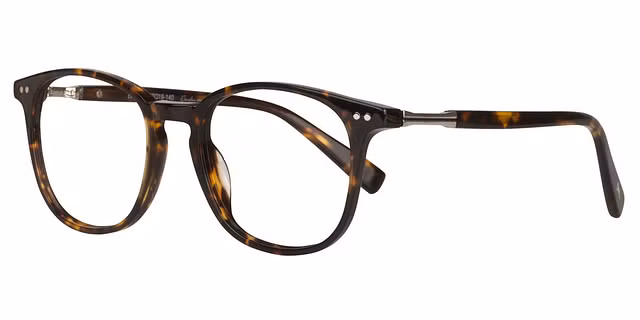 Paul Costelloe - 5259