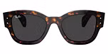 Havana / Black polarized