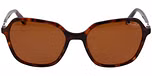BROWN MEDIUM MATT / Polarized