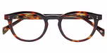 TORTOISE DARK SHINY