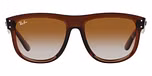 Transparent Brown / Brown