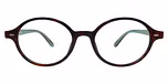 Green Tortoise