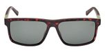 DARK HAVANA / DARK HAVANA / GREEN POLARIZED