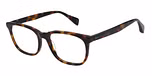 GLOSS TORT