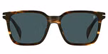 BROWN HORN / BLUE