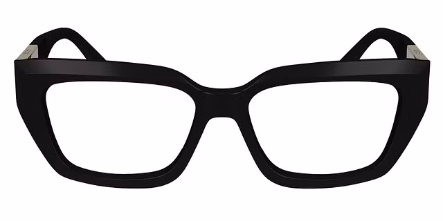 Lacoste - L2934