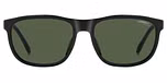 BLACK (GREEN POLARIZED)