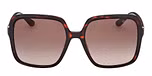 DARK HAVANA / DARK HAVANA / GRADIENT BROWN