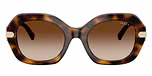 Dark Havana / Brown / Gradient Brown