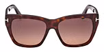 Dark Havana / Dark Havana / gradient bordeaux