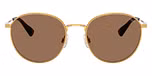 Shiny Brass / Dark Brown