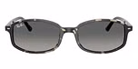 Grey Havana / Tortoise / Gradient Grey