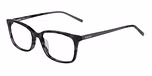 BLACK TORTOISE