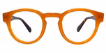 Amber tortoise