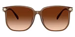Milky Brown / Brown Gradient