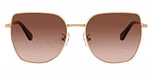 Pale Gold / Gold / Gradient Brown