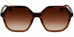 STRIPED BROWN / BROWN