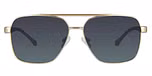 Gold / Gray Polarised Lens