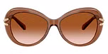 Transparent Brown / Brown / Gradient Brown