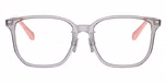 Transparent Grey / Grey