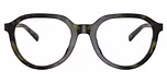 Olive Tortoise