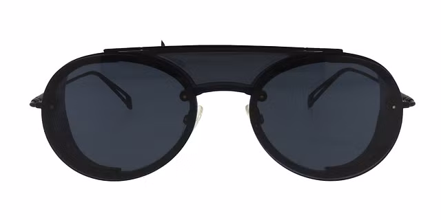 MaxMara Occhiali - MM BRISEIS