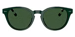 Shiny Green / Dark Green