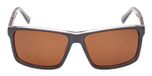 grey/other / brown polarized