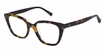 TORTOISESHELL