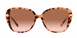 Pink Tortoise / Brown Pink Gradient