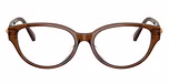 Transparent Brown / Brown
