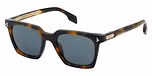 HAVANA / BLUE / POLARIZED