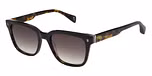 GLOSS CLASSIC TORT / GRADUATED