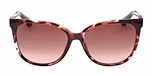 COLOURED HAVANA / GRADIENT BORDEAUX