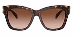Dark Tortoise / Tortoise / Brown Gradient