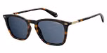 DARK HAVANA (GREY POLARIZED)