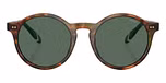 Shiny Brown Tortoise / Bottle Green