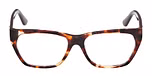 DARK HAVANA / SHINY DARK BROWN