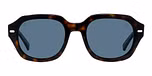 Tortoise / Blue Polar / Polarized