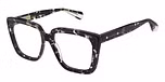 BLACK CLEAR TORTOISE