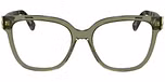 TRANSPARENT OLIVE / HAVANA