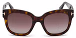 DARK HAVANA / GRADIENT BORDEAUX