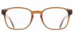 TRANSPARENT BROWN